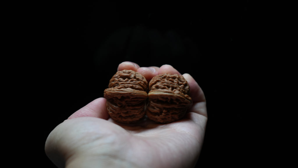 White Lion Wenwan Walnut Pair IX