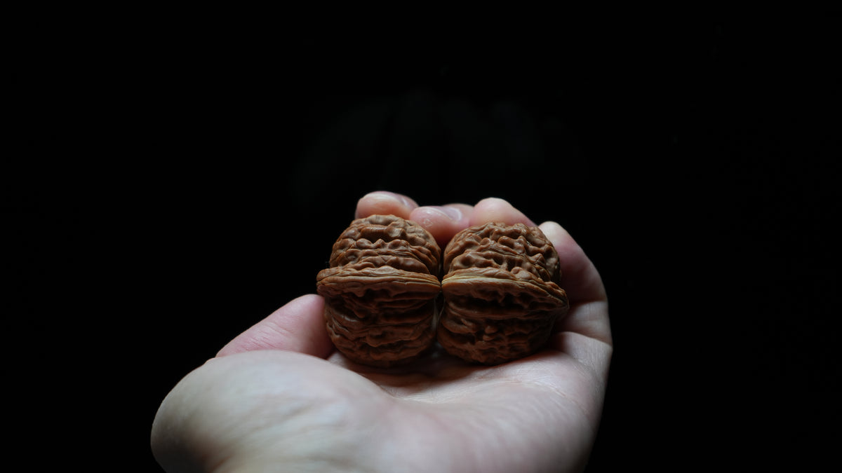 White Lion Wenwan Walnut Pair IX