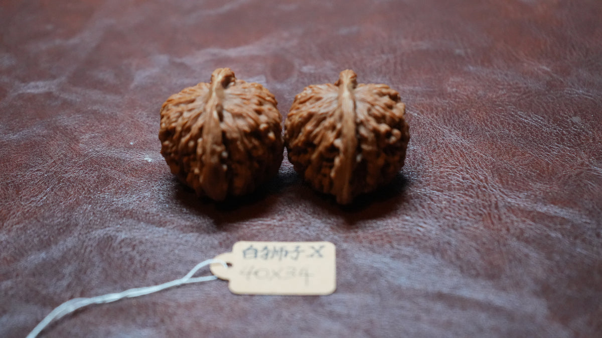 White Lion Wenwan Walnut Pair X