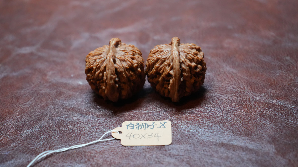 White Lion Wenwan Walnut Pair X